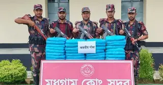 ফেনী সীমান্তে বিজিবি’র অভিযানে ৩৪ কেজি ভারতীয় গাঁজা জব্দ